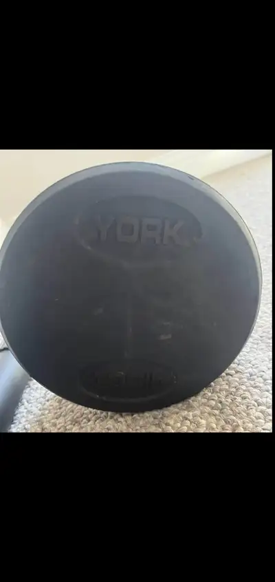 Commercial curl barbell 100lbs, View more