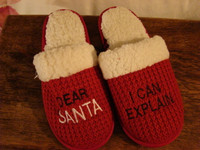 New Dear Santa I Can Explain Slippers