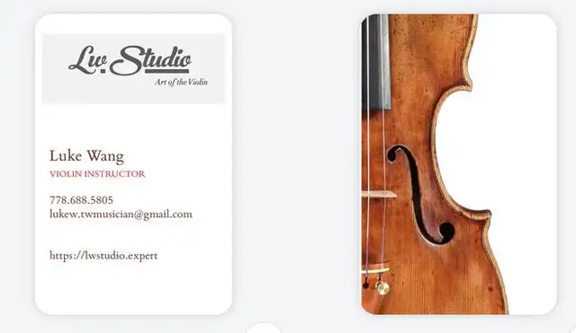 Violin Lesson526667086677288962