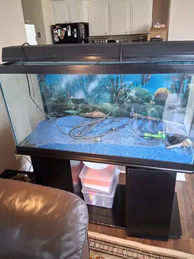 90 gal. Fish Tank with Stand, View more