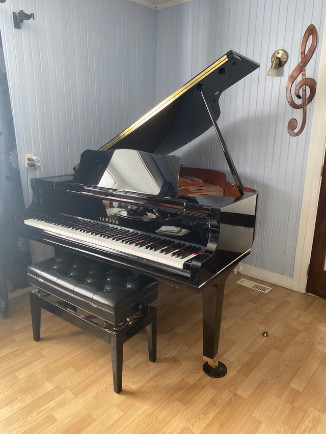 Piano à queue yamaha  dans Pianos et claviers  à Rimouski / Bas-St-Laurent