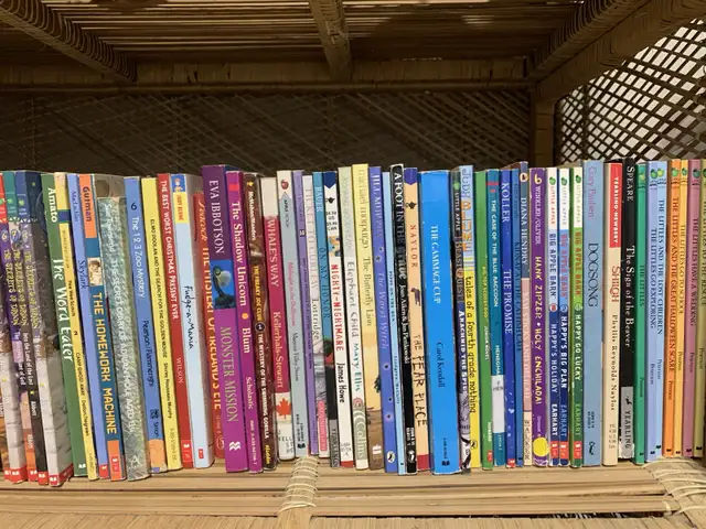 Children's Novels and Chapter Books, Over 100! in Children & Young Adult in Kingston - Image 9