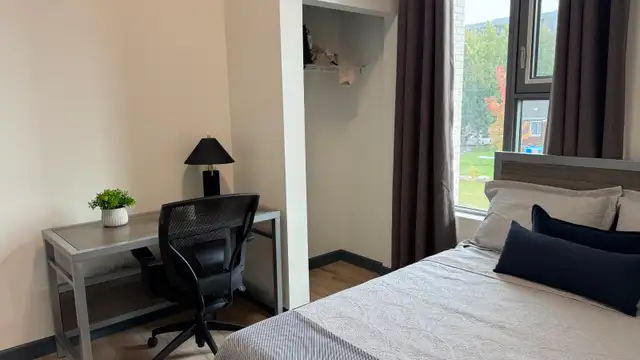298 Hemlock St Waterloo - Leasing for August 2026 in Long Term Rentals in Kitchener / Waterloo - Image 8