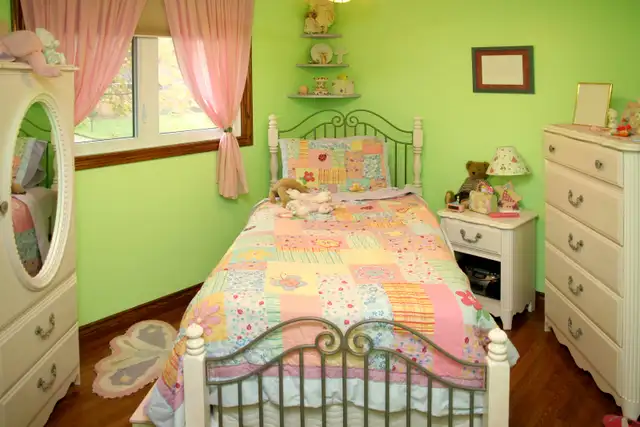 Pro Painter | Next Day Availability:  613-291-8831520784394626672641