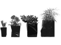 Poly Grow Bags: Thick. See ad for details