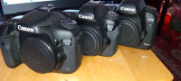 Camera canon 