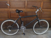 Cannondale Custom beach cruiser style bike