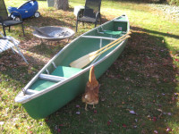 canoe 16 ft with paddles