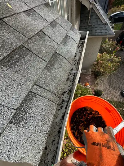 gutter  eavetrough cleaning, View more