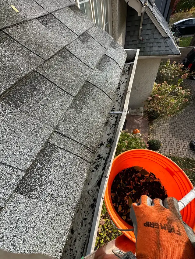 gutter  eavetrough cleaning420703560491356160