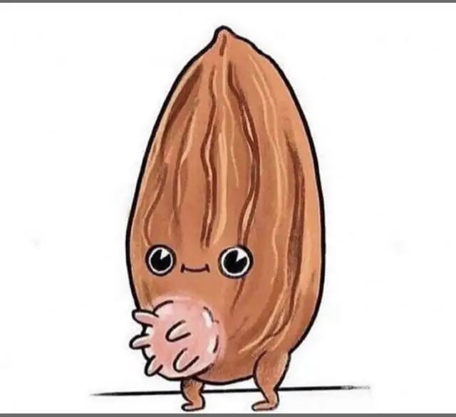 activity partner64960029591555120