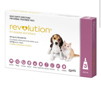 Looking for Revolution / Stronghold-puppies/kittens under 2,5kg