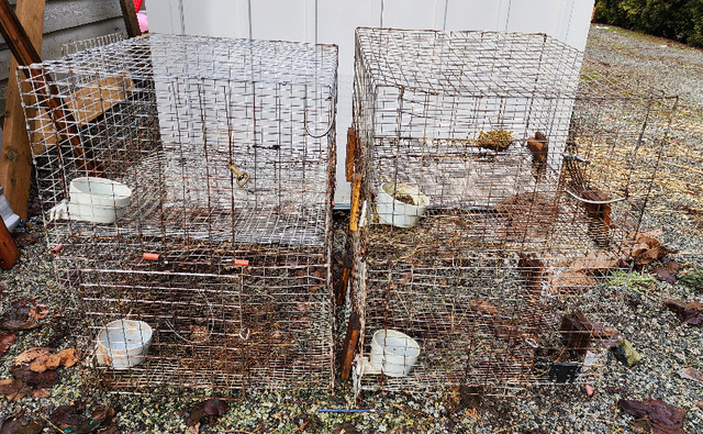 Wire rabbit cages in Livestock in Tricities/Pitt/Maple - Image 3