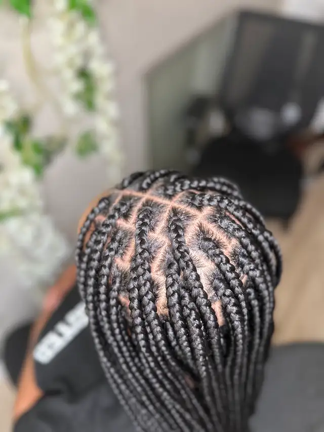 African braids62864354046082122