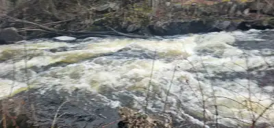 2.77 acres waterfront features waterfall with a metal bridge overlook water flowing all years long,...