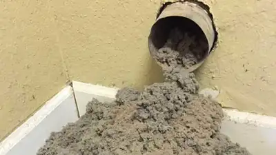 Offering dryer vent cleaning services. $99 Call 289-828-7900