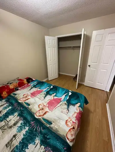 1 Room fully furnished available for rent in upper house near Sheridan collage, close to plaza, groc...