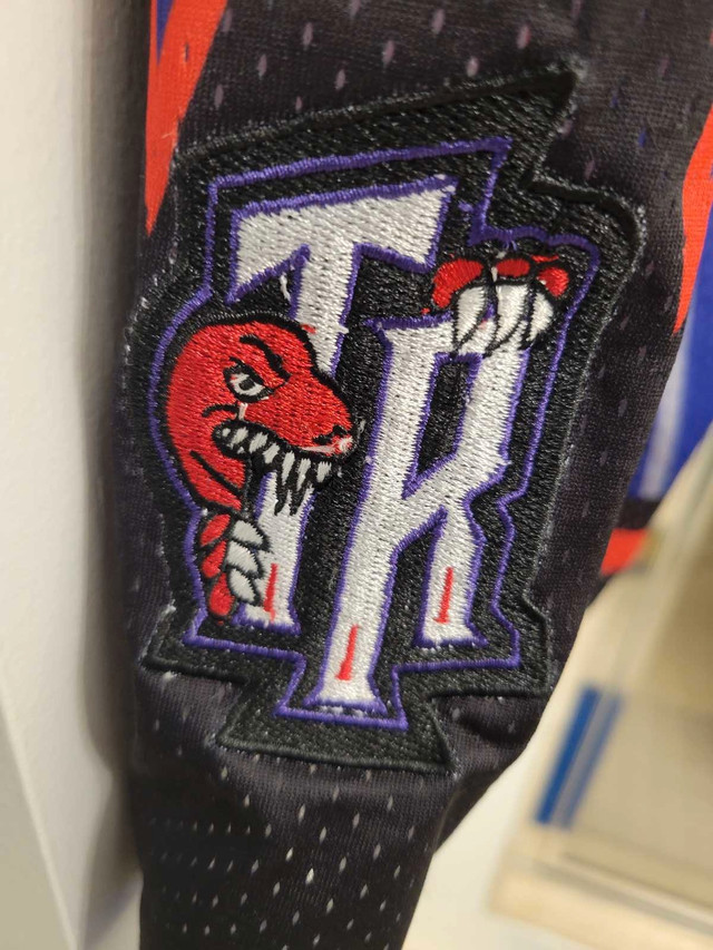 Toronto Raptor Shorts in Men's in City of Toronto - Image 3