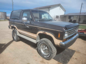 1987 Ford Bronco II Eddie Bauer Edition