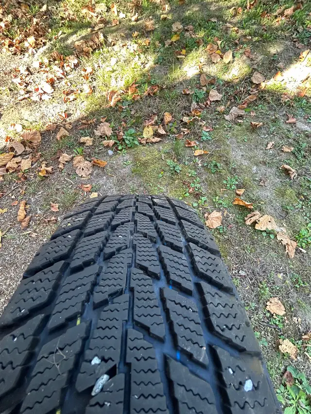 winter tires in Tires & Rims in Peterborough - Image 3