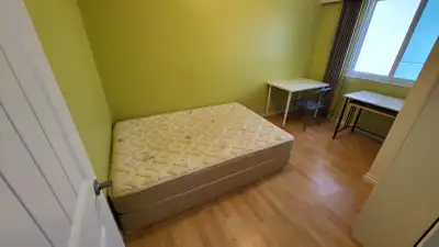 Room for Rent near brentwood mall -Quiet and peaceful neighbour hood -1 minutes walk to the bus stop...