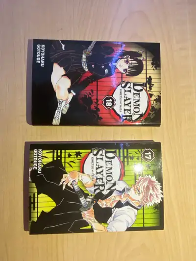 Demon slayer kimetsu no yaiba manga francais volume 17, 18