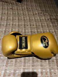Boxing gloves - lace up 10 oz bag gloves 
