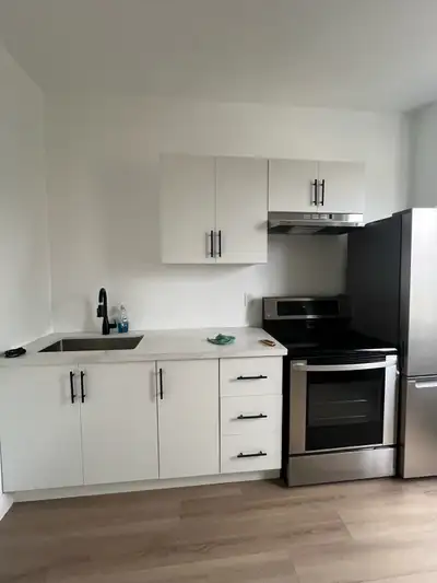 1 Bedroom Newly Renovated Apartment