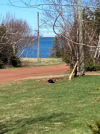 Cozy, spaceous cottage available for rent in the Stanley Bridge area for the Winter months (now to J...