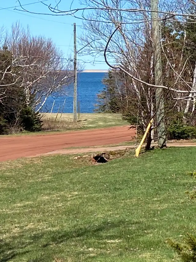 Cottage available for rent immediately. in Short Term Rentals in Charlottetown - Image 2