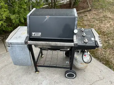 Weber, barbeque works great does not look like brand new but it can clean up if you like and it cook...