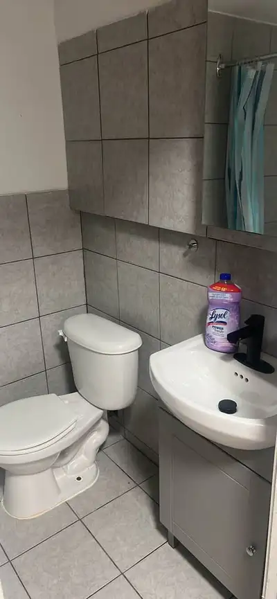 Découvrez ce charmant studio avec chambre fermée, idéalement situé près de tout ce dont vous avez be...
