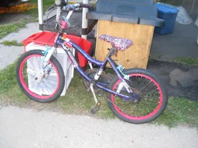 Four children's bicycles. A 16", an 18"& two 20". $25 -$30 each., View more