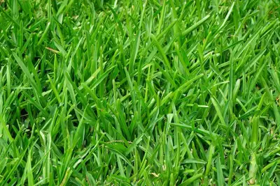 I’m looking to for a couple more propertys to add to my weekly grass cutting and yard maintenance If...