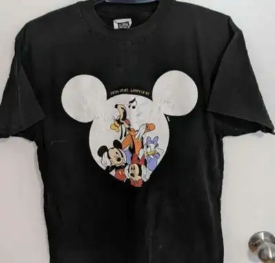 Great Disney shirt. There is a button that you used to press and it would play music, but the button...