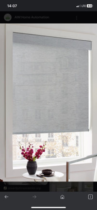 Hunter Douglas roll blind