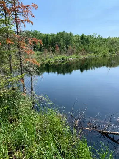 Room for rent at Trout Lake. 1/2 from town on the lake. Room is on the second floor. Private bath. P...