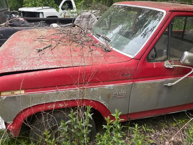 Ford f-150561999718447196163
