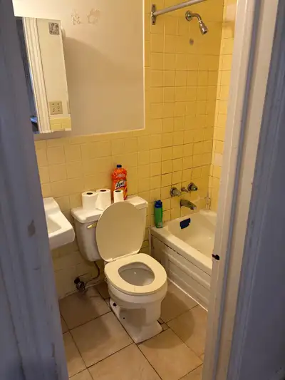 Dovercourt & college st area apartment for rent please call Germano (416)988-4177 please call only