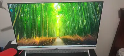 Dell all-in-one desktop - touchscreen CPU: Intel core i5 10th Generation RAM: 12GB Storage: 1TB Rein...