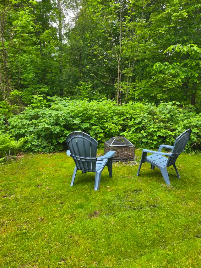 Située au camping La foret de Freli (pret de Cowansville). Seule in RVs & Motorhomes in Longueuil / South Shore - Image 12