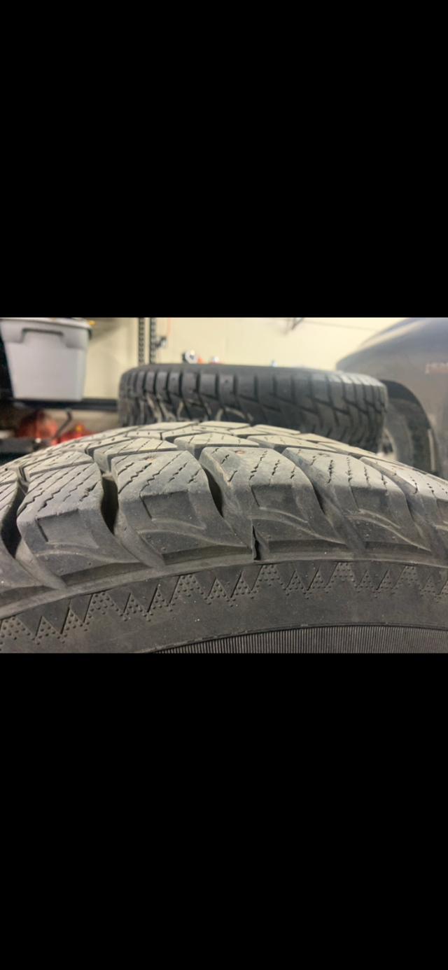 Studded winter tires on steel rims off f150 $800 in Tires & Rims in Edmonton - Image 2