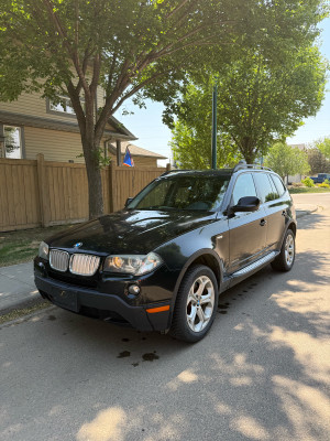 2010 BMW X3