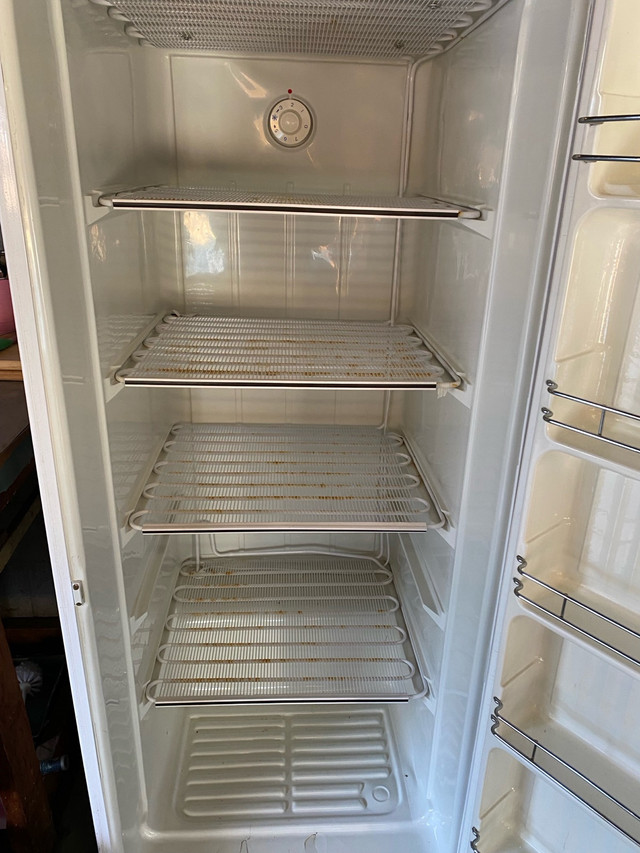 Stand up Freezer in Freezers in Windsor Region - Image 2
