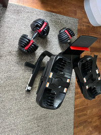 Bowflex selec tech 552 weights and stand 