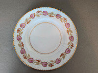 Royal Wrochester plates ( Vintage)