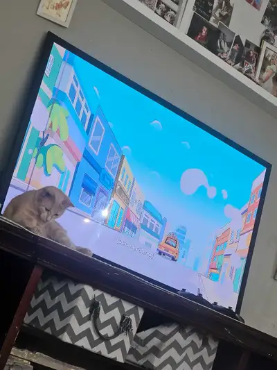 50" Samsung TV, View more