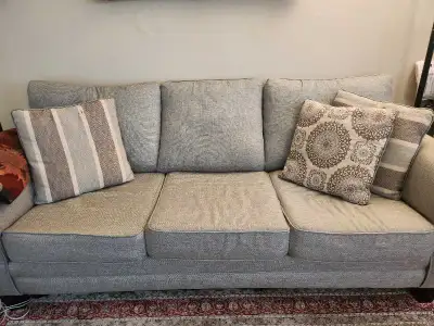 Pull Out Sofa Bed / with cover ($60) but cover is free., View more