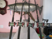 down riger   rods for fishing