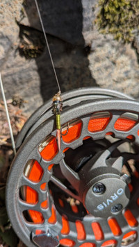 canne à mouche Orvis Clearwater 10' #3